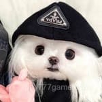 Avatar of Mariam Raza